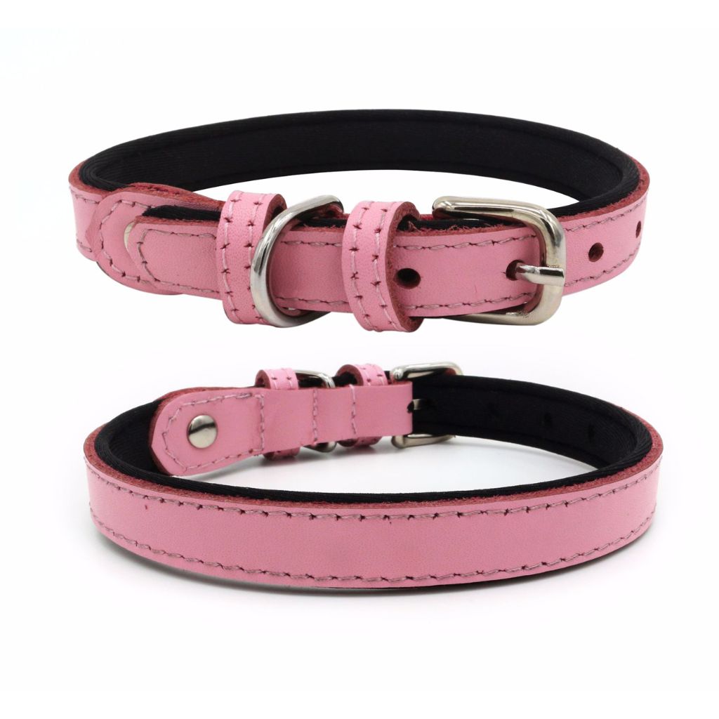 Light Pink Dog Collar - by Doggy Doo Little - Doggy Doo Little