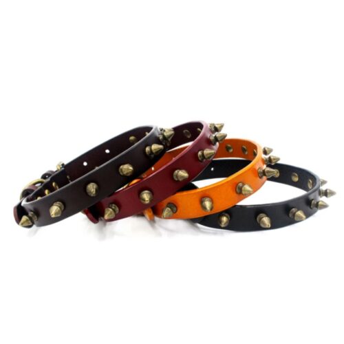 Orange Spike Dog Collar - by Doggy Doo Little - Image 2