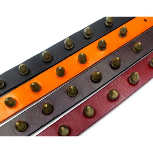 Orange Spike Dog Collar - by Doggy Doo Little - Image 4