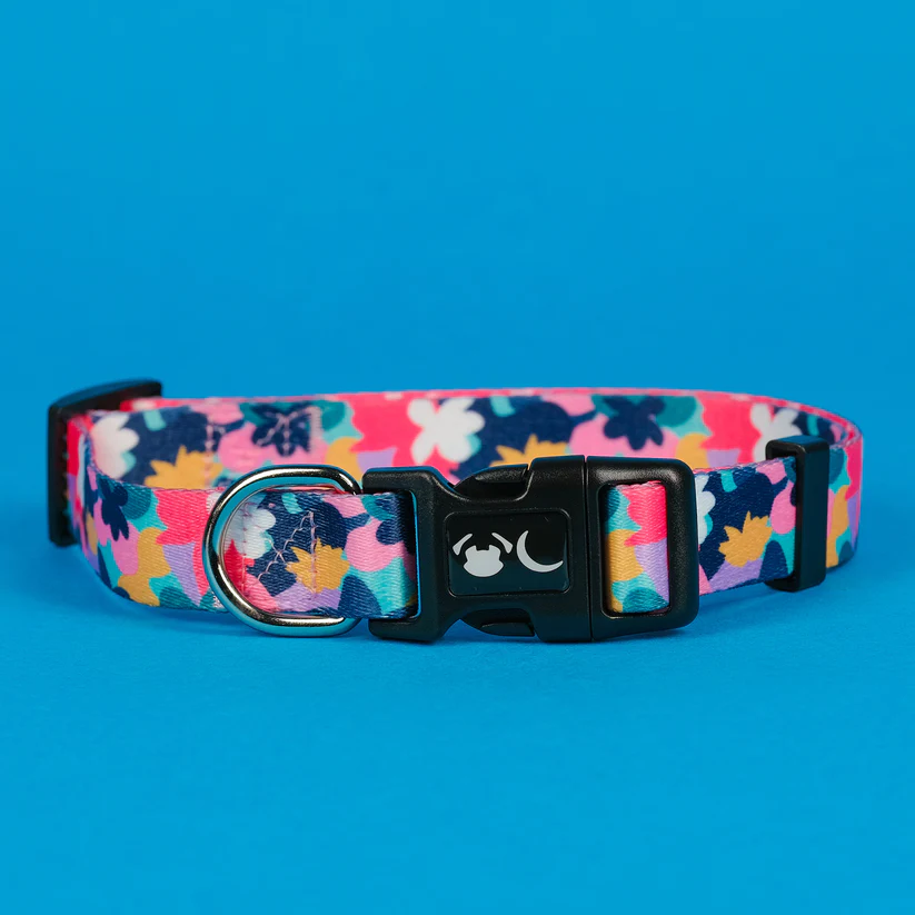 the-luna-dog-collar-by-neon-moon-pet-boutique-doggy-doo-little