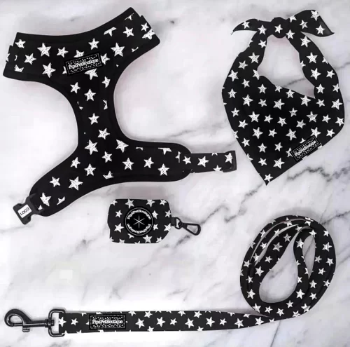 “The Starry One” Dog Harness (4-Piece Set) by PipsPetBoutique