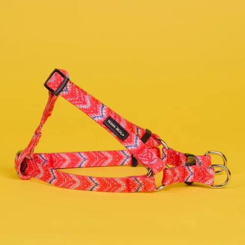 The Tod Step-In Dog Harness - by Neon Moon Pet Boutique - Image 4