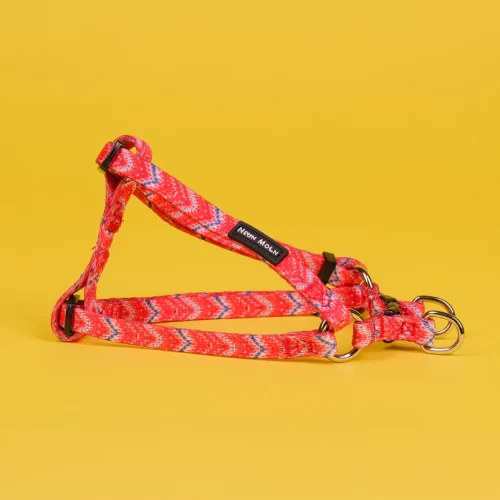 The Tod Step-In Dog Harness - by Neon Moon Pet Boutique - Image 5