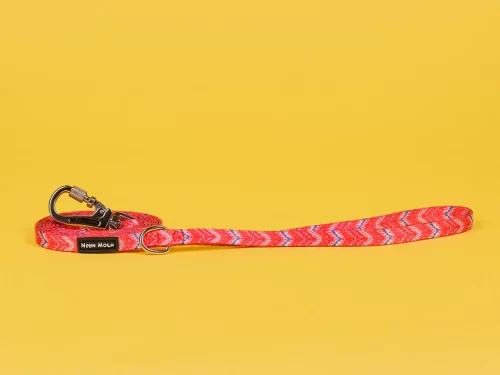 The Tod Dog Lead - by Neon Moon Pet Boutique - Image 5