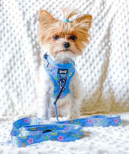 Island Breeze Step-In Adjustable Dog Harness by Pup Chic Boutique - Image 9