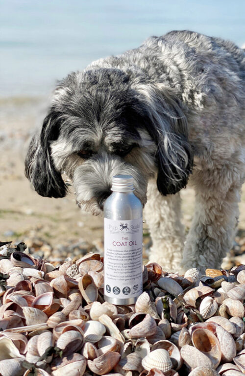 Dog Coat Oil - "The Ultimate Conditioner" For Dog Coats - by Pup Suds - Image 2