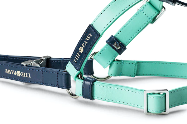 Sasha (Italian Leather) Step-In Dog Harness – by The Paw Co. - Image 3