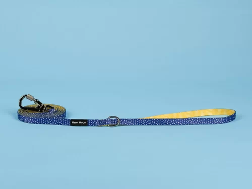 The Minnie Dog Lead - by Neon Moon Pet Boutique