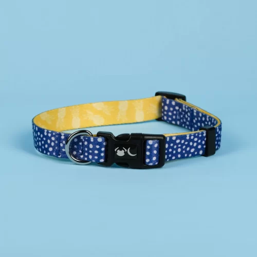 The Minnie Dog Collar - by Neon Moon Pet Boutique - Image 3