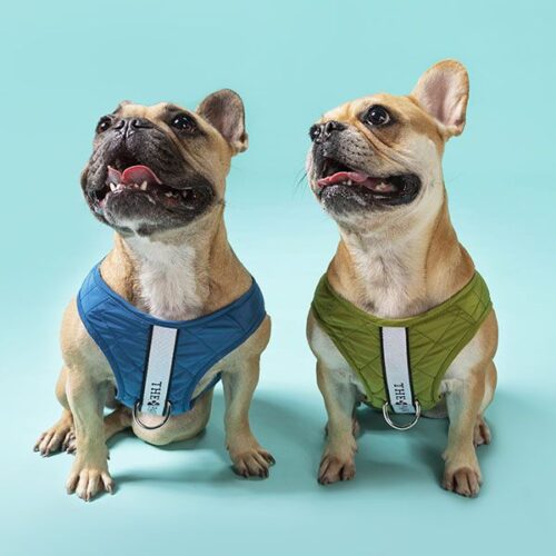 Brooklyn Dog Harness (Olive)– by The Paw Co. - Image 5