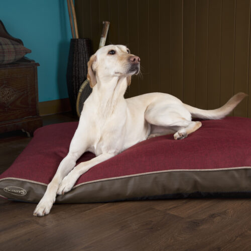 Hilton Memory Foam Orthopaedic Dog Bed / Dog Mattress (Burgundy, Brown, Grey) by Scruffs - Image 5