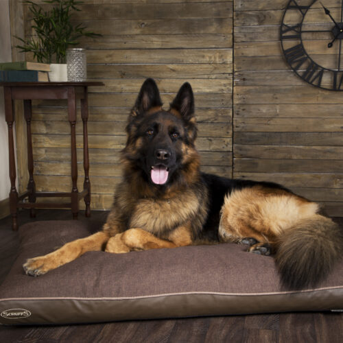 Hilton Memory Foam Orthopaedic Dog Bed / Dog Mattress (Burgundy, Brown, Grey) by Scruffs - Image 6