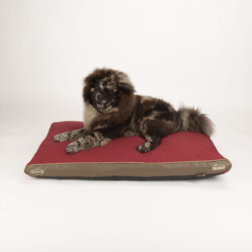 Hilton Memory Foam Orthopaedic Dog Bed / Dog Mattress (Burgundy, Brown, Grey) by Scruffs - Image 13