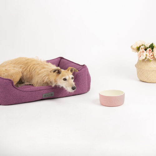 Manhattan Box Dog Bed (in Berry Purple, Denim Blue, Dark Grey or Light Grey) by Scruffs - Image 21