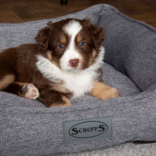 Manhattan Box Dog Bed (in Berry Purple, Denim Blue, Dark Grey or Light Grey) by Scruffs - Image 24