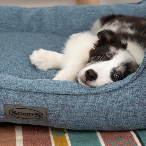 Manhattan Box Dog Bed (in Berry Purple, Denim Blue, Dark Grey or Light Grey) by Scruffs - Image 7