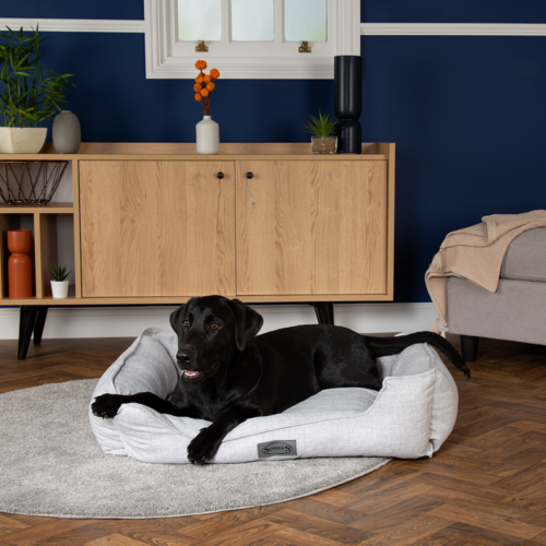 Manhattan Box Dog Bed (in Berry Purple, Denim Blue, Dark Grey or Light Grey) by Scruffs - Image 25