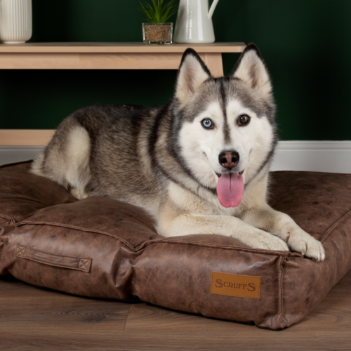 Knightsbridge Dog Mattress (Chocolate, Turquoise, Grey or Olive) by Scruffs - Image 10