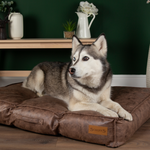 Knightsbridge Dog Mattress (Chocolate, Turquoise, Grey or Olive) by Scruffs