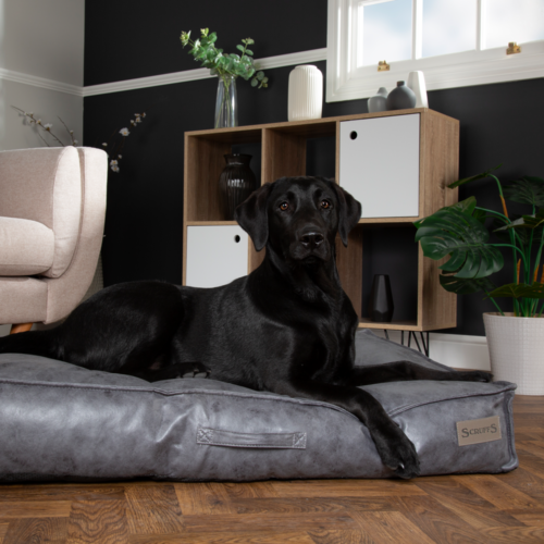 Knightsbridge Dog Mattress (Chocolate, Turquoise, Grey or Olive) by Scruffs - Image 12