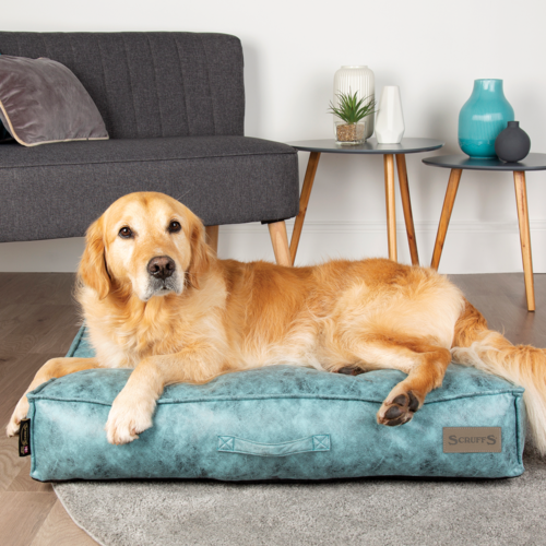 Knightsbridge Dog Mattress (Chocolate, Turquoise, Grey or Olive) by Scruffs - Image 11