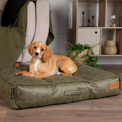 Knightsbridge Dog Mattress (Chocolate, Turquoise, Grey or Olive) by Scruffs - Image 9