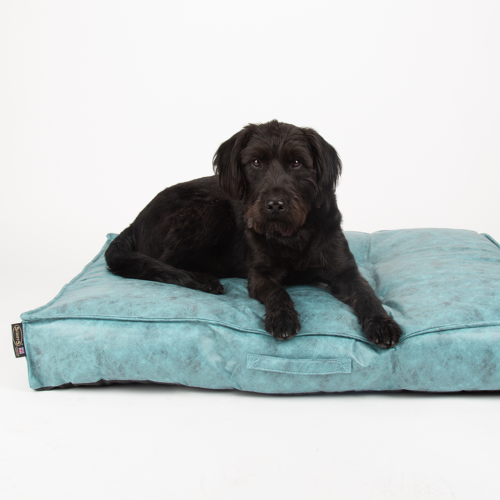 Knightsbridge Dog Mattress (Chocolate, Turquoise, Grey or Olive) by Scruffs - Image 7