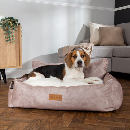 Kensington Box Dog Bed (in Cream, Chocolate, Navy or Grey) by Scruffs - Image 10