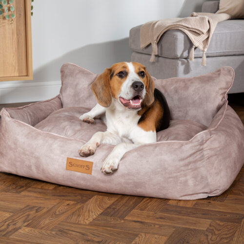 Kensington Box Dog Bed (in Cream, Chocolate, Navy or Grey) by Scruffs - Image 7