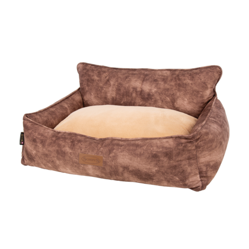 Kensington Box Dog Bed (in Cream, Chocolate, Navy or Grey) by Scruffs - Image 3