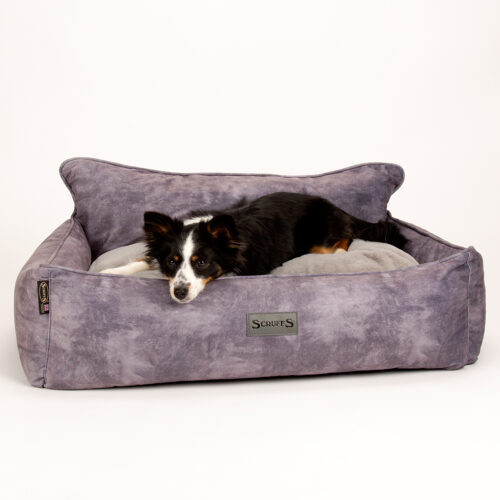 Kensington Box Dog Bed (in Cream, Chocolate, Navy or Grey) by Scruffs - Image 16