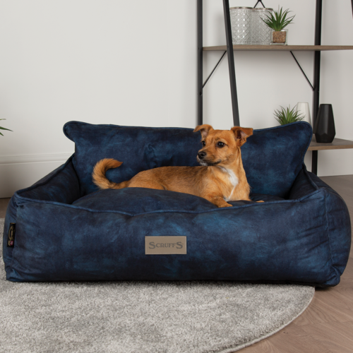 Kensington Box Dog Bed (in Cream, Chocolate, Navy or Grey) by Scruffs - Image 13