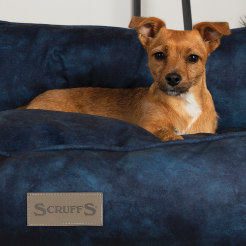 Kensington Box Dog Bed (in Cream, Chocolate, Navy or Grey) by Scruffs - Image 18