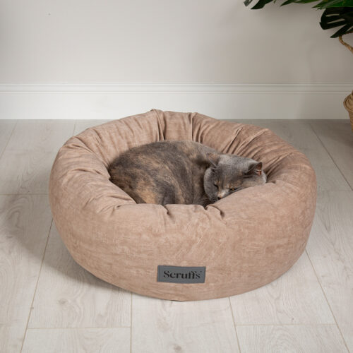 Oslo Ring Dog Bed (in Blush Pink, Desert Sand, Lake Teal or Stone Grey) by Scruffs - Image 8