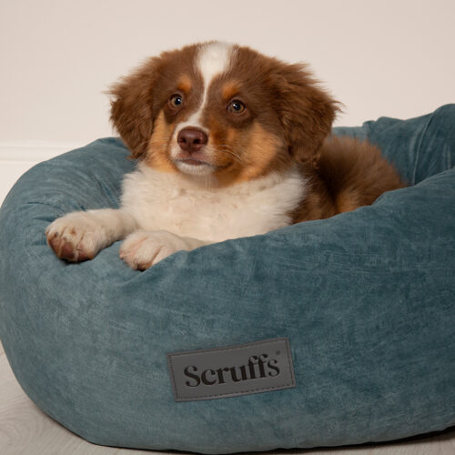 Oslo Ring Dog Bed (in Blush Pink, Desert Sand, Lake Teal or Stone Grey) by Scruffs - Image 9