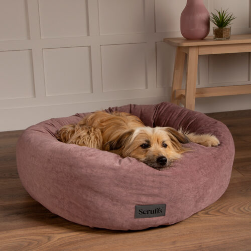 Oslo Ring Dog Bed (in Blush Pink, Desert Sand, Lake Teal or Stone Grey) by Scruffs - Image 11