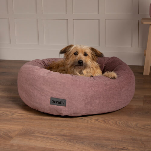 Oslo Ring Dog Bed (in Blush Pink, Desert Sand, Lake Teal or Stone Grey) by Scruffs - Image 7