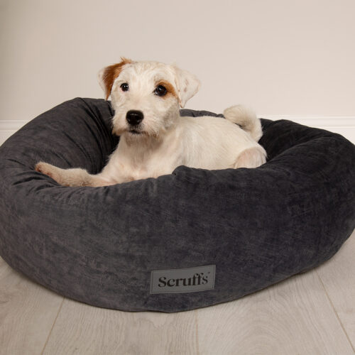 Oslo Ring Dog Bed (in Blush Pink, Desert Sand, Lake Teal or Stone Grey) by Scruffs - Image 10