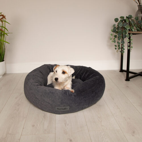 Oslo Ring Dog Bed (in Blush Pink, Desert Sand, Lake Teal or Stone Grey) by Scruffs - Image 14