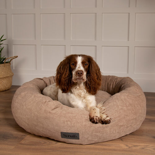 Oslo Ring Dog Bed (in Blush Pink, Desert Sand, Lake Teal or Stone Grey) by Scruffs - Image 12