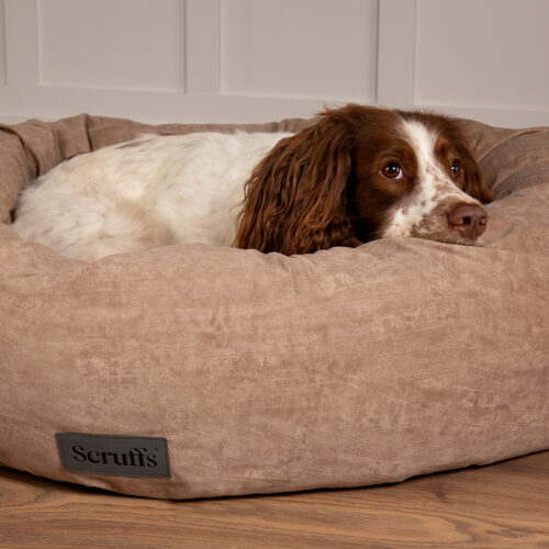 Oslo Ring Dog Bed (in Blush Pink, Desert Sand, Lake Teal or Stone Grey) by Scruffs - Image 13