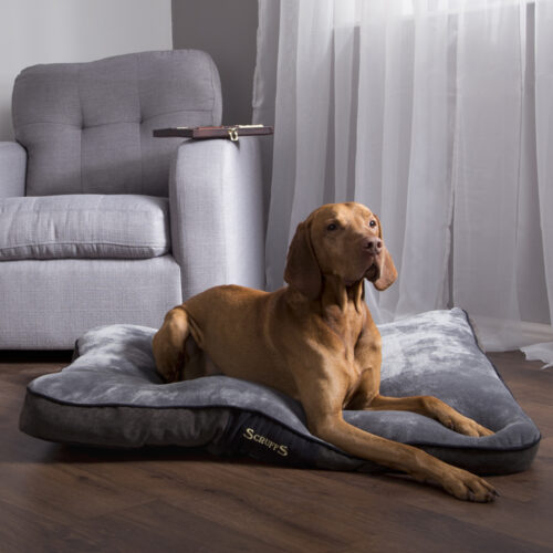 Chester Dog Mattress (in Chocolate Brown or Graphite Grey) by Scruffs - Image 6