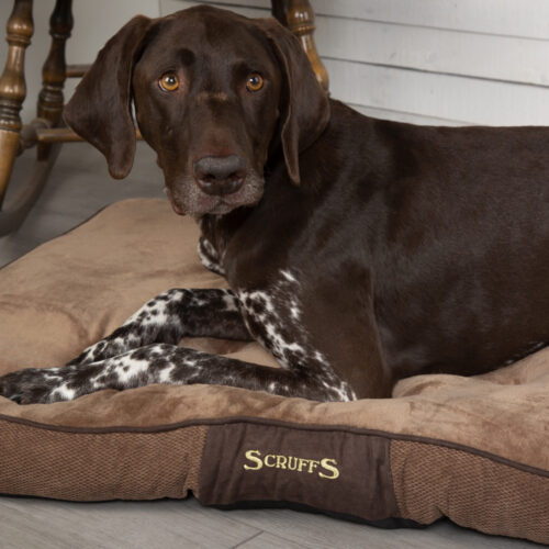 Chester Dog Mattress (in Chocolate Brown or Graphite Grey) by Scruffs - Image 4