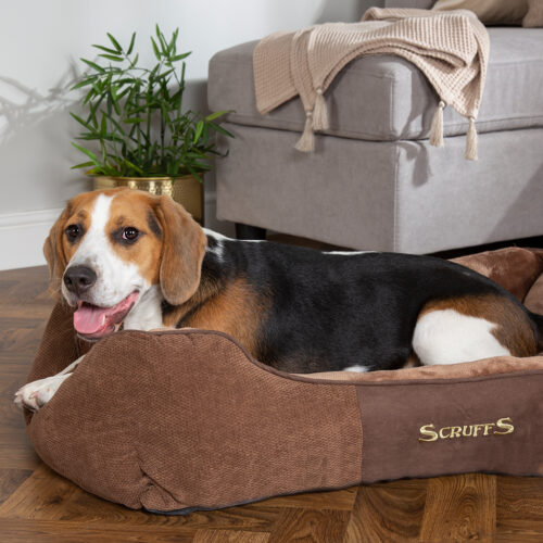 Chester Box Dog Bed (in Chocolate Brown, Dark Grey or Graphite Grey) by Scruffs - Image 5