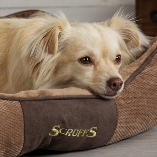 Chester Box Dog Bed (in Chocolate Brown, Dark Grey or Graphite Grey) by Scruffs - Image 7