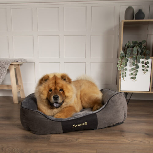 Chester Box Dog Bed (in Chocolate Brown, Dark Grey or Graphite Grey) by Scruffs - Image 9