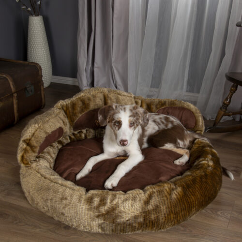 Cub Bear Dog Bed (in Beige or Brown) by Scruffs - Image 5