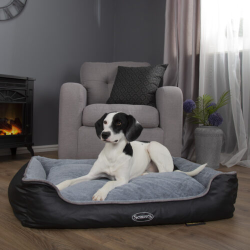 Chateau Memory Foam Orthopaedic Box Dog Bed (Dove, Latte) by Scruffs - Image 3