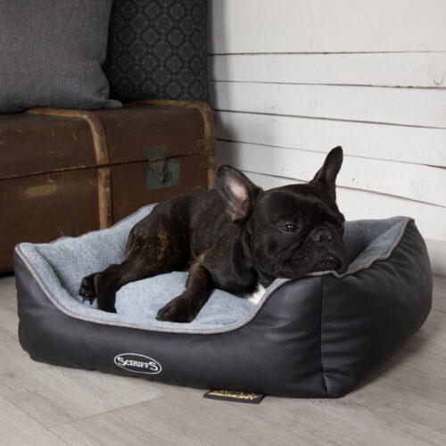 Chateau Memory Foam Orthopaedic Box Dog Bed (Dove, Latte) by Scruffs - Image 5