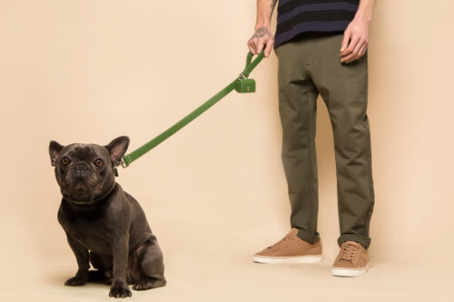 Forest Green Dog Lead (Vegan Apple Leather) – by Skylos Collective - Image 6